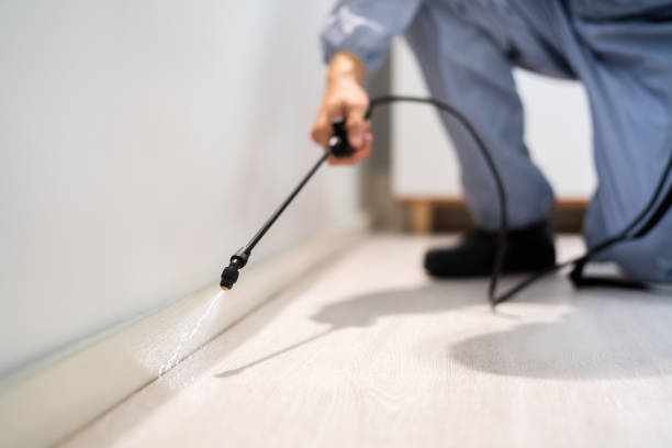 Licensed Pest Control service in New Berlinville, PA - Show Me Pest Control