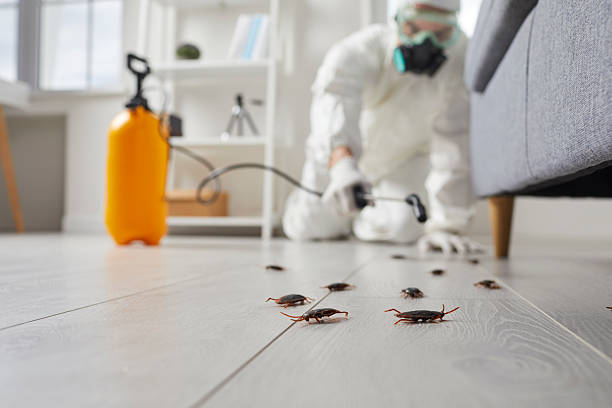 Commercial Kitchen Cockroach Control in New Berlinville